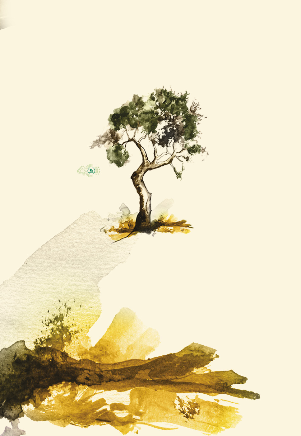 Imagem de uma  árvore - Oliveira