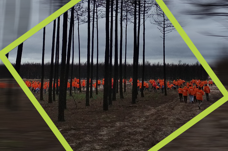 Várias pessoas vestidas de cor de laranja na mata de Leiria