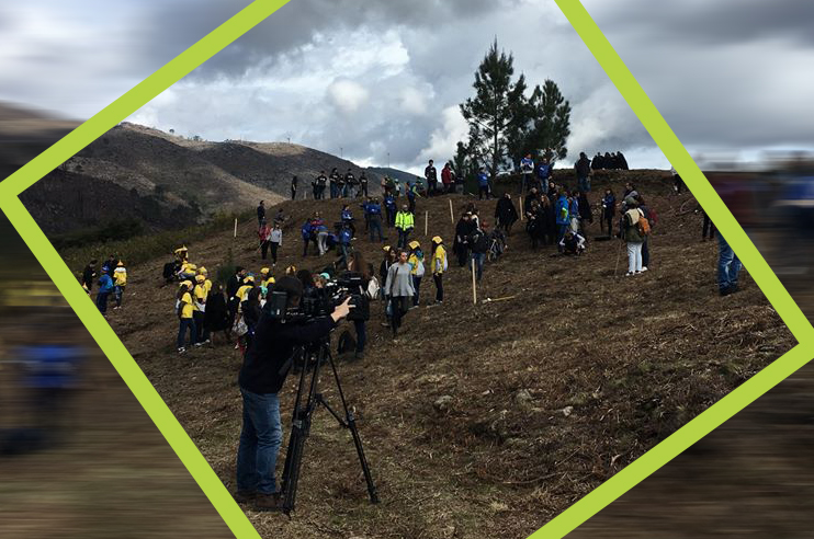 Várias pessoas a plantar