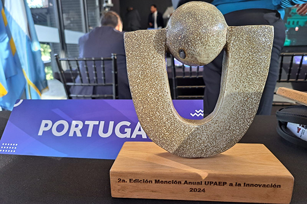 prémio UPAEP - simbolo de pedra em madeira